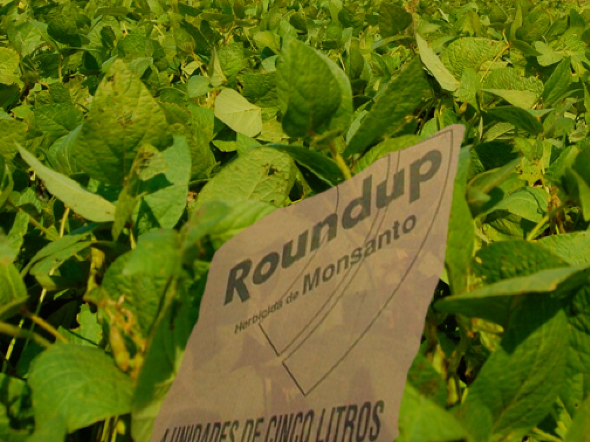 Monsanto Faces $7.5 Billion Payout To Brazilian Farmers | Corpwatch